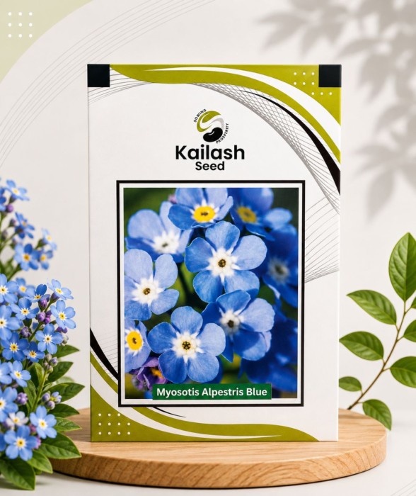 Myosotis Alpestris Blue